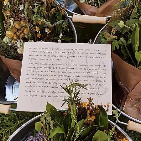 O Saramagal-casa Nueva Playa Area Brava - Feriehus *