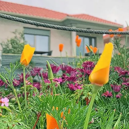 Feriehus O Saramagal-casa Nueva Playa Area Brava -